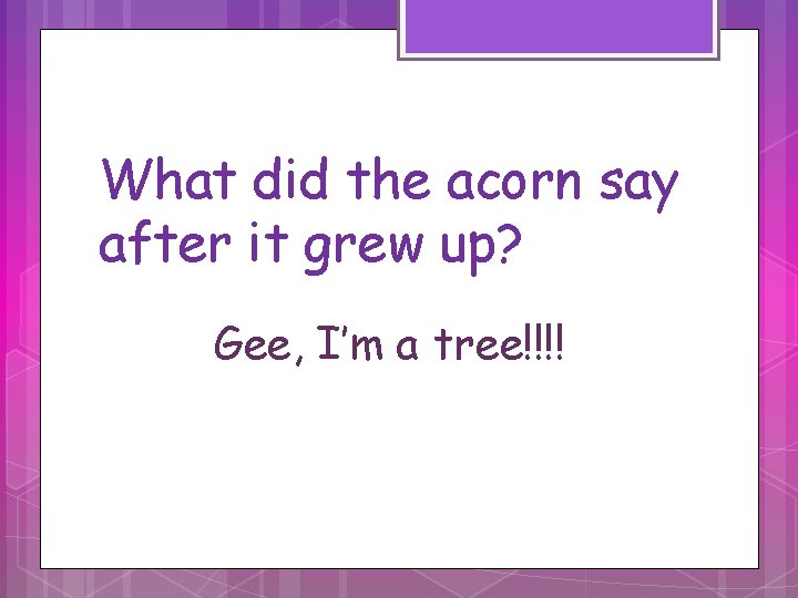 What did the acorn say after it grew up? Gee, I’m a tree!!!! 