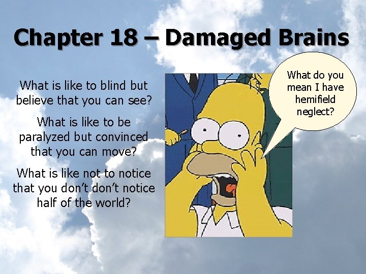 Chapter 18 – Damaged Brains What is like to blind but believe that you
