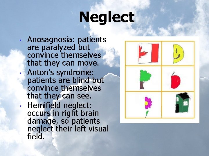 Neglect § § § Anosagnosia: patients are paralyzed but convince themselves that they can