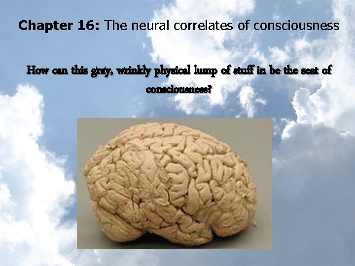 Chapter 16: The neural correlates of consciousness How can this gray, wrinkly physical lump