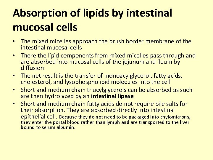 Absorption of lipids by intestinal mucosal cells • The mixed micelles approach the brush
