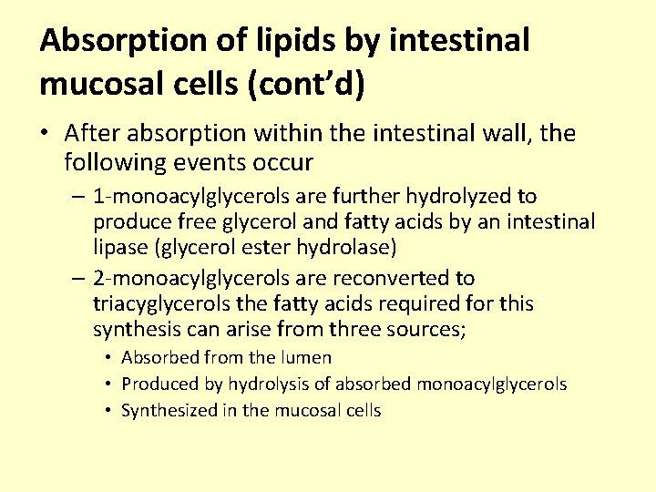 Absorption of lipids by intestinal mucosal cells (cont’d) • After absorption within the intestinal