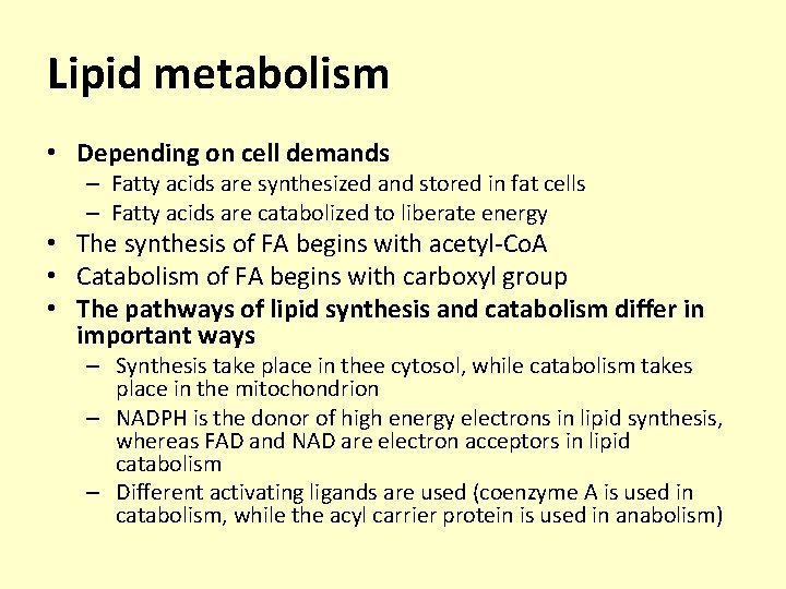 Lipid metabolism • Depending on cell demands – Fatty acids are synthesized and stored
