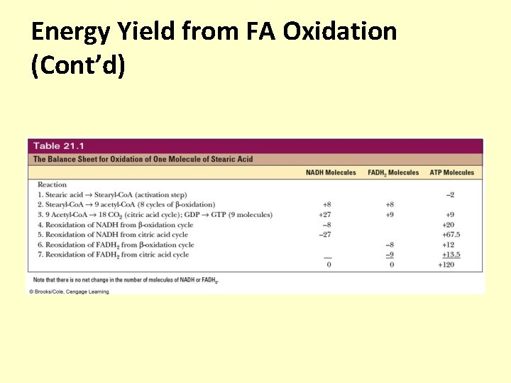 Energy Yield from FA Oxidation (Cont’d) 