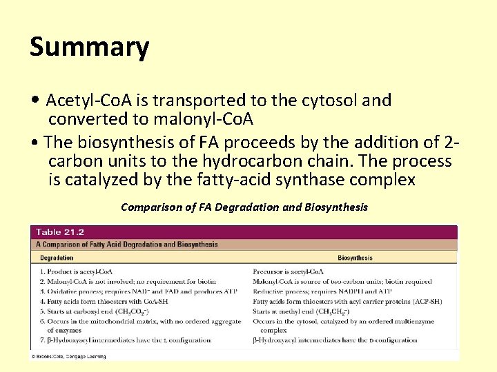 Summary • Acetyl-Co. A is transported to the cytosol and converted to malonyl-Co. A