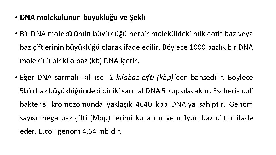  • DNA molekülünün büyüklüğü ve Şekli • Bir DNA molekülünün büyüklüğü herbir moleküldeki