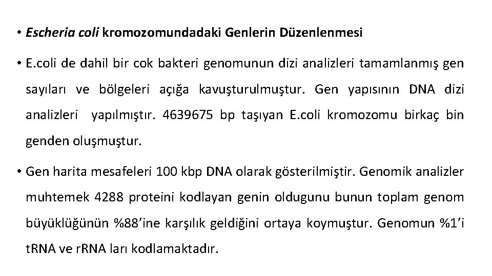  • Escheria coli kromozomundadaki Genlerin Düzenlenmesi • E. coli de dahil bir cok