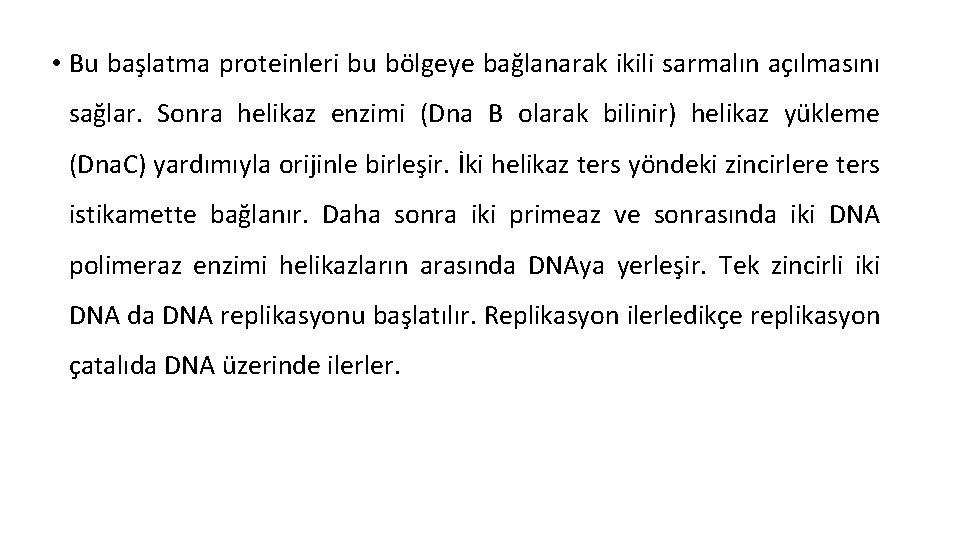  • Bu başlatma proteinleri bu bölgeye bağlanarak ikili sarmalın açılmasını sağlar. Sonra helikaz