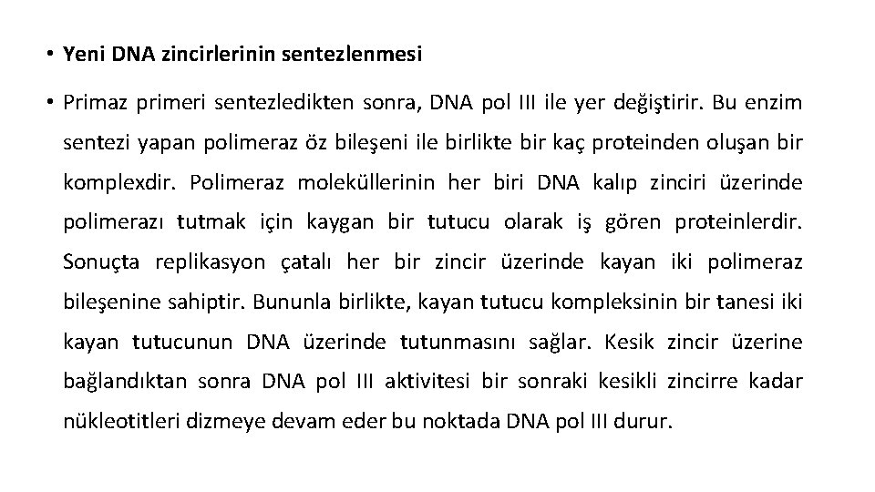  • Yeni DNA zincirlerinin sentezlenmesi • Primaz primeri sentezledikten sonra, DNA pol III