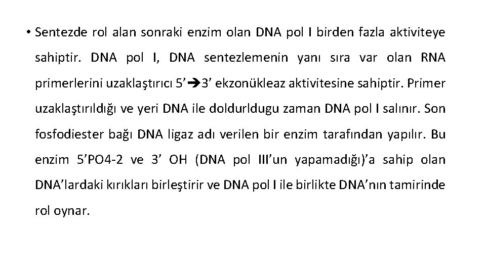  • Sentezde rol alan sonraki enzim olan DNA pol I birden fazla aktiviteye