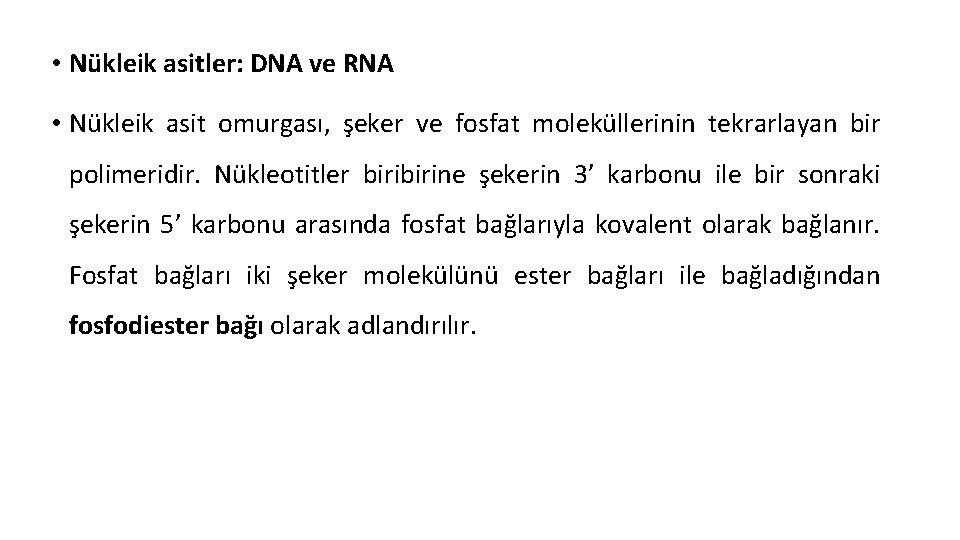  • Nükleik asitler: DNA ve RNA • Nükleik asit omurgası, şeker ve fosfat