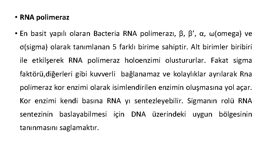  • RNA polimeraz • En basit yapılı olaran Bacteria RNA polimerazı, β, β’,