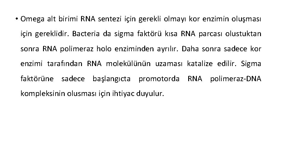  • Omega alt birimi RNA sentezi için gerekli olmayı kor enzimin oluşması için