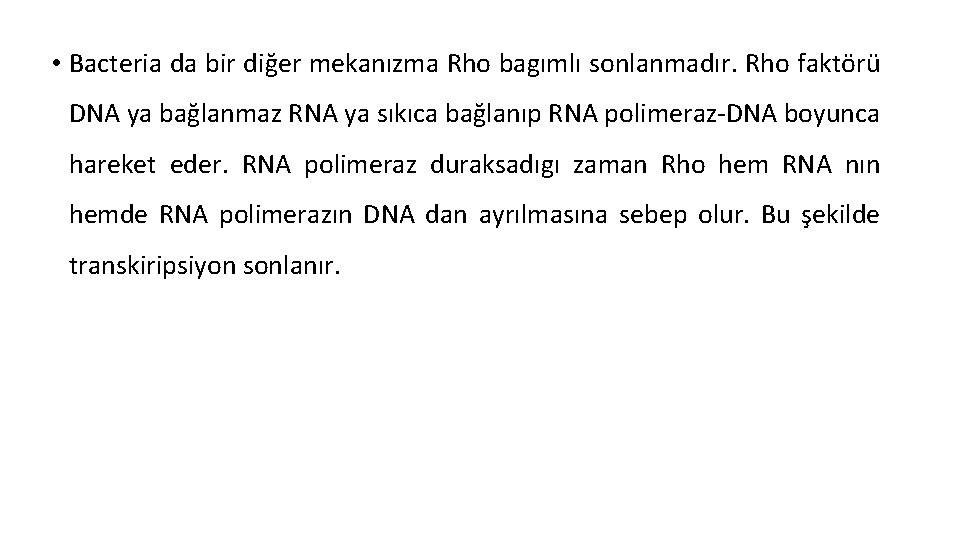  • Bacteria da bir diğer mekanızma Rho bagımlı sonlanmadır. Rho faktörü DNA ya