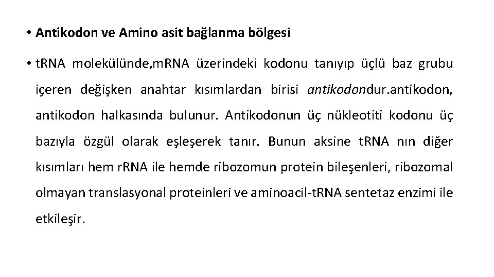  • Antikodon ve Amino asit bağlanma bölgesi • t. RNA molekülünde, m. RNA