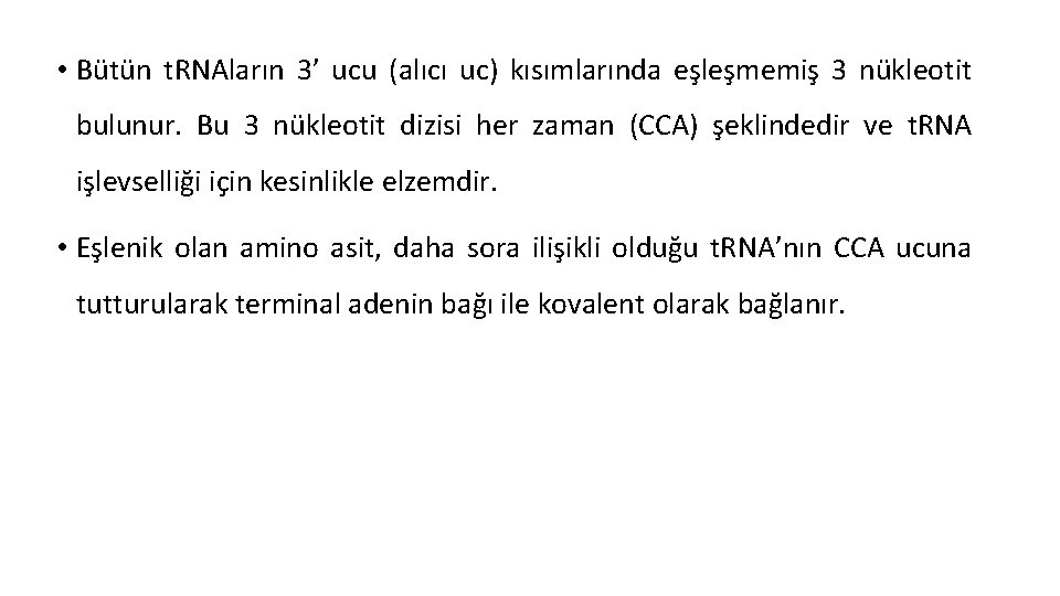  • Bütün t. RNAların 3’ ucu (alıcı uc) kısımlarında eşleşmemiş 3 nükleotit bulunur.