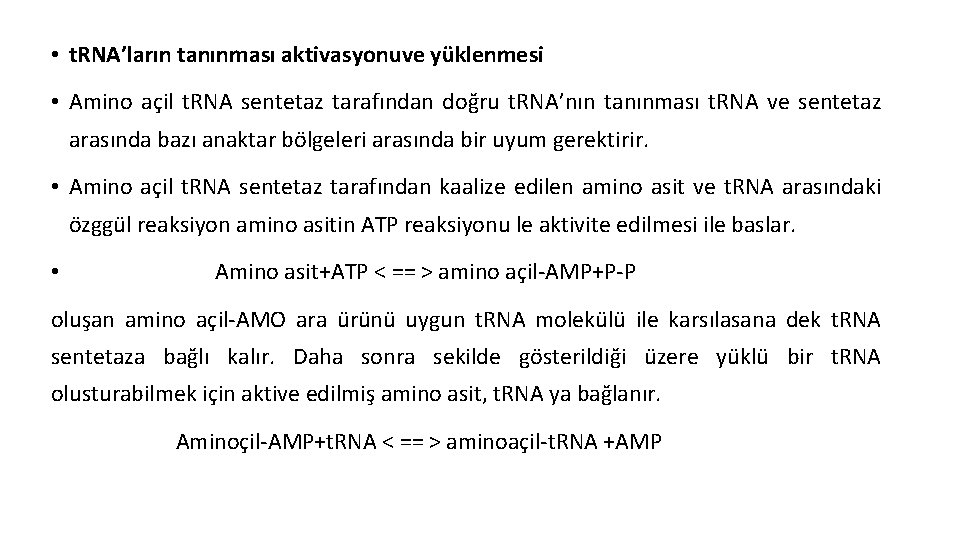  • t. RNA’ların tanınması aktivasyonuve yüklenmesi • Amino açil t. RNA sentetaz tarafından