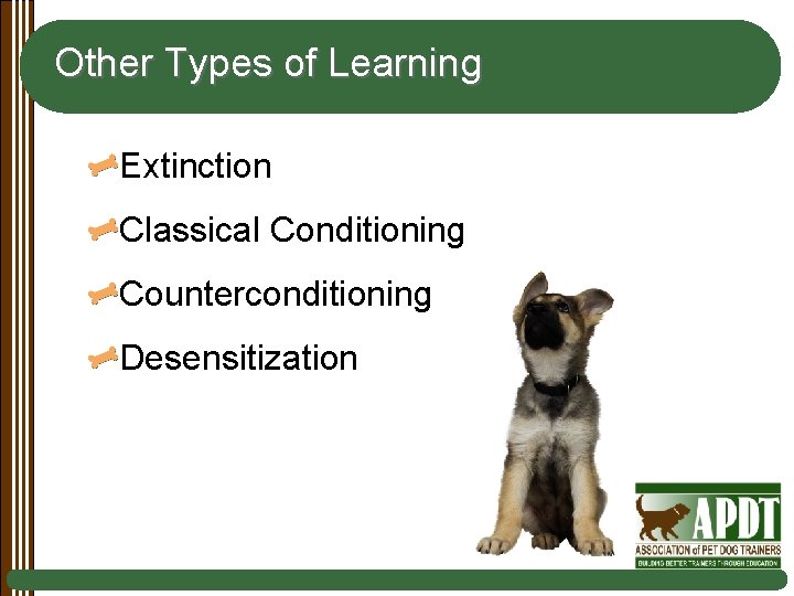 Other Types of Learning Extinction Classical Conditioning Counterconditioning Desensitization 