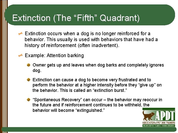 Extinction (The “Fifth” Quadrant) Extinction occurs when a dog is no longer reinforced for