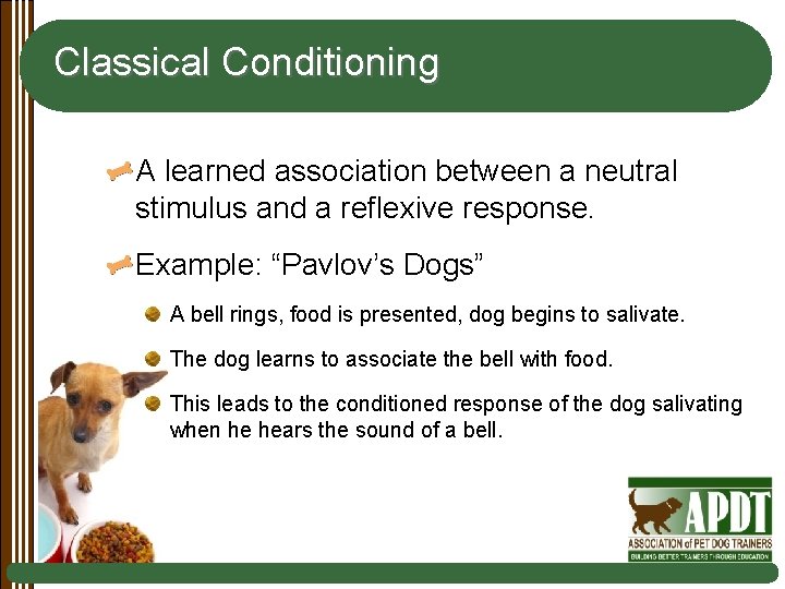 Classical Conditioning A learned association between a neutral stimulus and a reflexive response. Example: