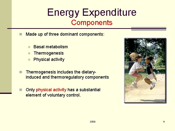 Energy Expenditure Components n Made up of three dominant components: n n n Basal