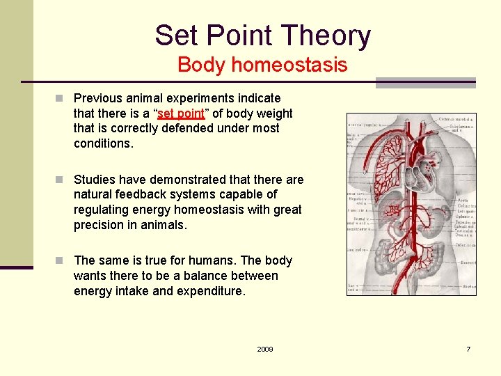Set Point Theory Body homeostasis n Previous animal experiments indicate that there is a