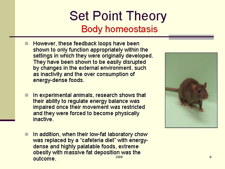Set Point Theory Body homeostasis n However, these feedback loops have been shown to