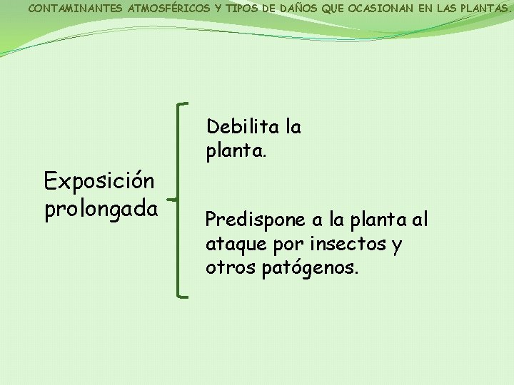 CONTAMINANTES ATMOSFÉRICOS Y TIPOS DE DAÑOS QUE OCASIONAN EN LAS PLANTAS. Debilita la planta.