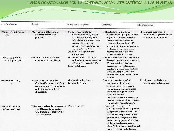 DAÑOS OCASIONADOS POR LA CONTAMINACIÓN ATMOSFÉRICA A LAS PLANTAS 