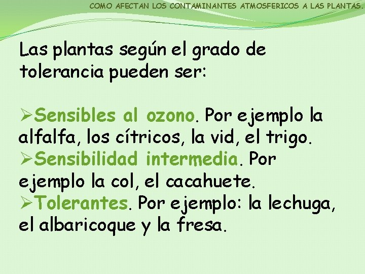 COMO AFECTAN LOS CONTAMINANTES ATMOSFERICOS A LAS PLANTAS. Las plantas según el grado de