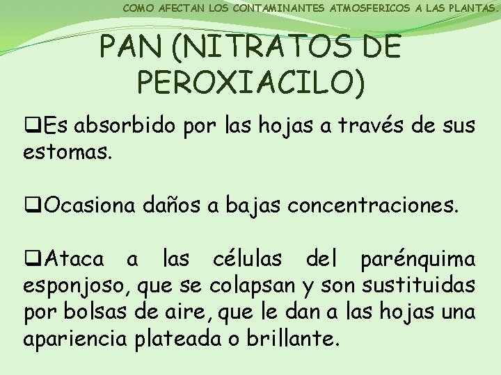 COMO AFECTAN LOS CONTAMINANTES ATMOSFERICOS A LAS PLANTAS. PAN (NITRATOS DE PEROXIACILO) q. Es