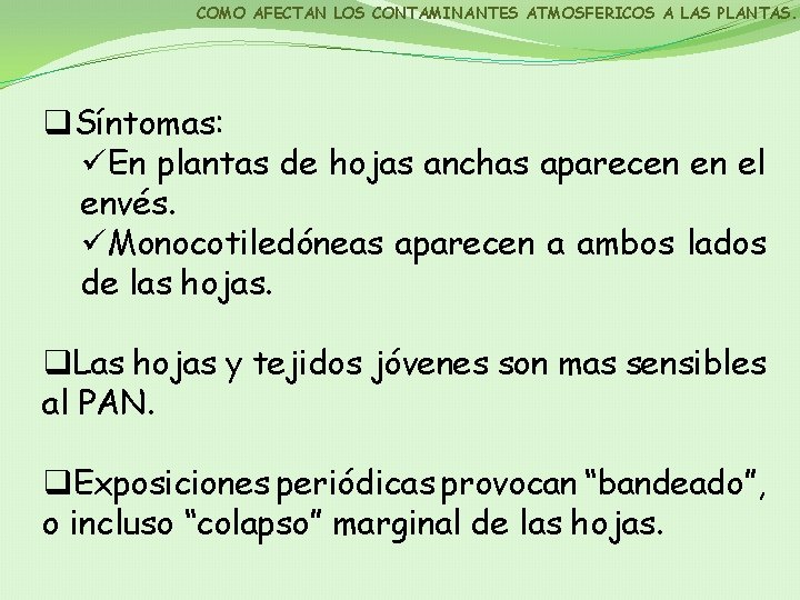 COMO AFECTAN LOS CONTAMINANTES ATMOSFERICOS A LAS PLANTAS. q. Síntomas: üEn plantas de hojas