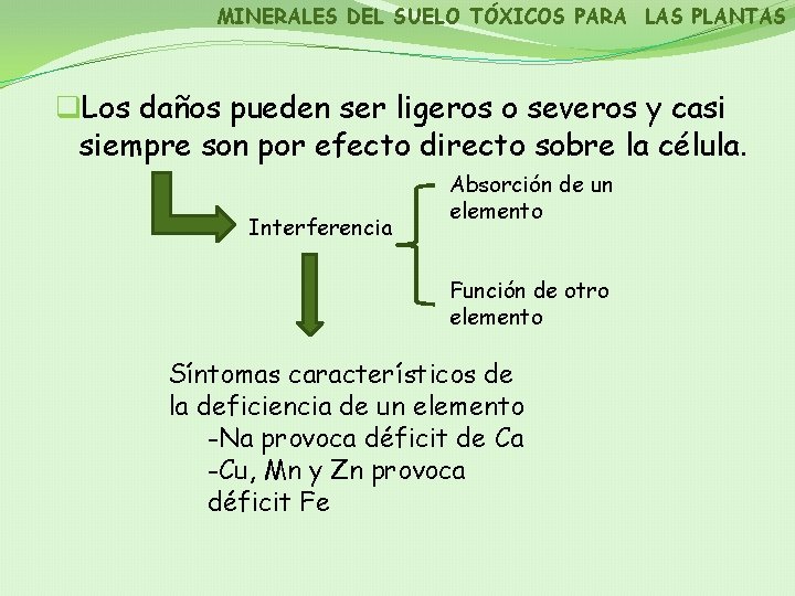 MINERALES DEL SUELO TÓXICOS PARA LAS PLANTAS q. Los daños pueden ser ligeros o