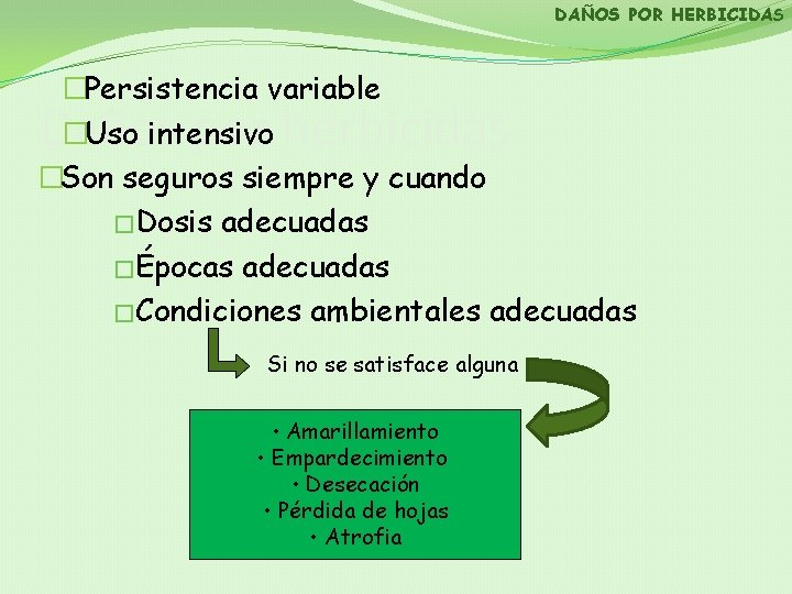 DAÑOS POR HERBICIDAS �Persistencia variable �Uso intensivo �Son seguros siempre y cuando �Dosis adecuadas