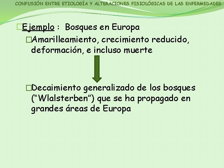 CONFUSIÓN ENTRE ETIOLOGÍA Y ALTERACIONES FISIOLÓGICAS DE LAS ENFERMEDADES �Ejemplo : Bosques en Europa