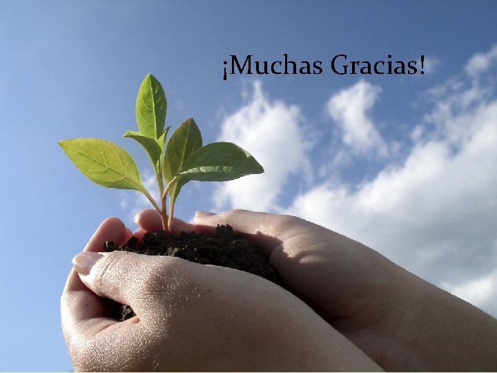 ¡Muchas Gracias! 