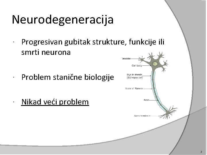Neurodegeneracija Progresivan gubitak strukture, funkcije ili smrti neurona Problem stanične biologije Nikad veći problem