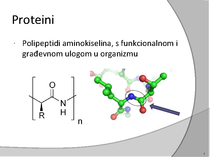 Proteini Polipeptidi aminokiselina, s funkcionalnom i građevnom ulogom u organizmu 3 