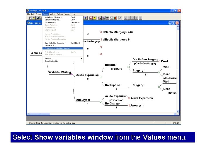 Select Show variables window from the Values menu. 