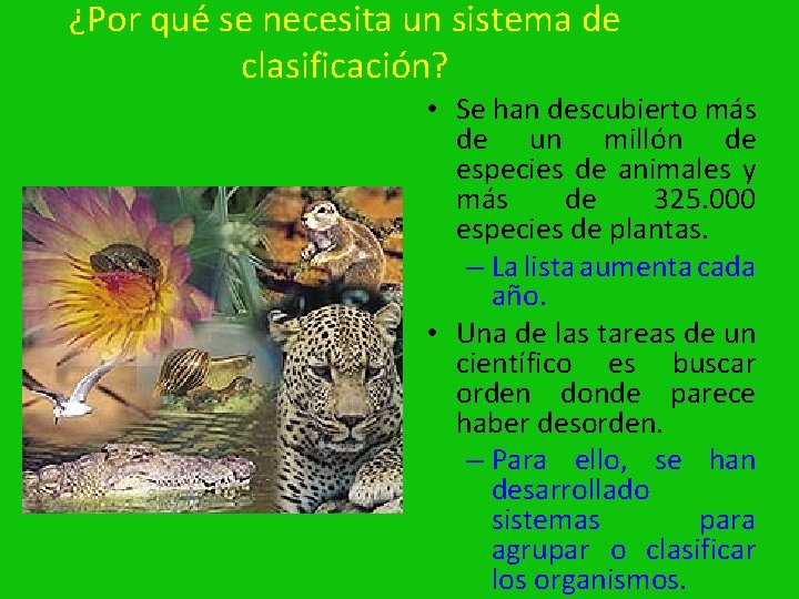 ¿Por qué se necesita un sistema de clasificación? • Se han descubierto más de