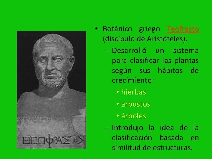  • Botánico griego Teofrasto (discípulo de Aristóteles). – Desarrolló un sistema para clasificar