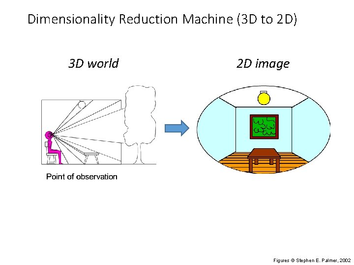 Dimensionality Reduction Machine (3 D to 2 D) 3 D world 2 D image