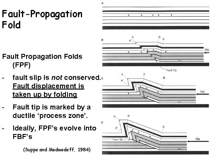 Fault-Propagation Fold Fault Propagation Folds (FPF) - fault slip is not conserved. Fault displacement