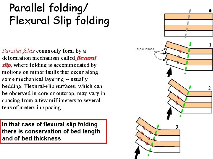 Parallel folding/ Flexural Slip folding Parallel folds commonly form by a deformation mechanism called