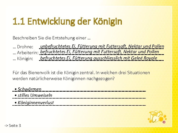 1. 1 Entwicklung der Königin Beschreiben Sie die Entstehung einer … … Drohne: unbefruchtetes