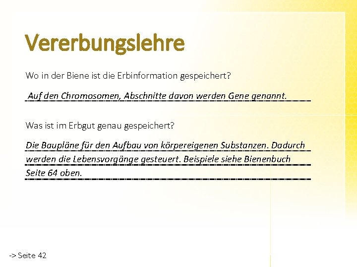 Vererbungslehre Wo in der Biene ist die Erbinformation gespeichert? Auf den Chromosomen, Abschnitte davon