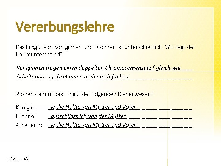 Vererbungslehre Das Erbgut von Königinnen und Drohnen ist unterschiedlich. Wo liegt der Hauptunterschied? Königinnen