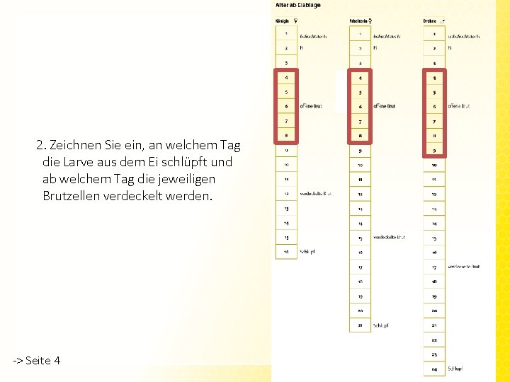 Unbefruchtetes Ei 2. Zeichnen Sie ein, an welchem Tag die Larve aus dem Ei