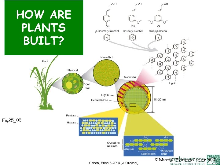 HOW ARE PLANTS BUILT? Fig 25_05 Cahen, Erice 7 -2014 (J. Gressel) © Materials