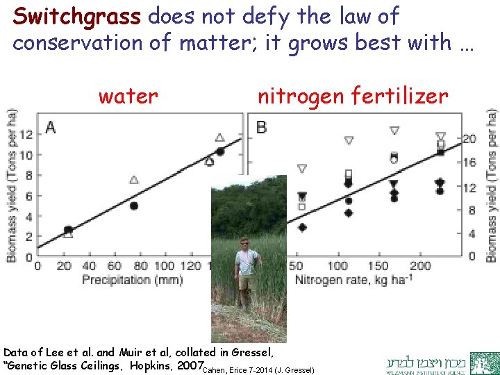 Switchgrass does not defy the law of conservation of matter; it grows best with